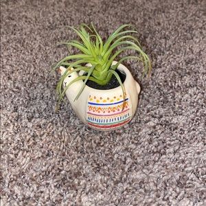 Lama plant decor